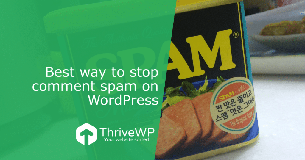 WordPress Maintenance Service Best way to stop comment spam on WordPress