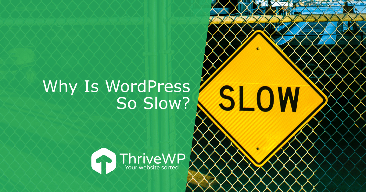 WordPress Website Management Why Is WordPress So Slow